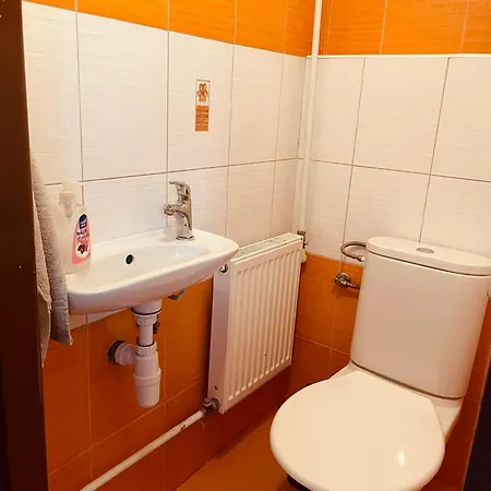 Vesela Chaloupka בית נופש *